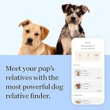 Wisdom Panel Essential Dog DNA Test Kit for Breed, Health & Traits view 7