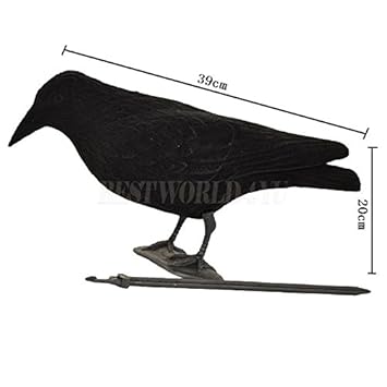 Floqué Corbeau Leurre Pigeoncorps Peint Et Pie Demi Coque