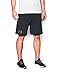 Under Armour Men's Terry Fleece Shorts