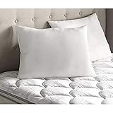 Southwest Canyon Polyfill Bed Pillow, Standard