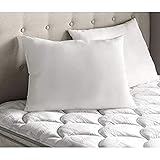 Southwest Canyon Polyfill Bed Pillow, Standard