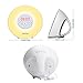 swiftrans Wake up Light Sunrise Simulation, Alarm Clock 5 Natural Sounds to Wake up, 7 Color Changes, FM Radio, Snooze Function Sunset Simulation, Suitable All Kinds People