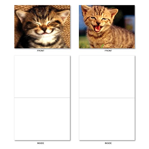 Kitten Themed Note Cards (Box of 10) - Assorted Cat 'Smitten Kitten' Blank Greeting Cards with Envelopes - Adorable All Occasion Cat and Animal Stationery 4 x 5.12 inch - NobleWorks M6485OCB - Thumbnail 3
