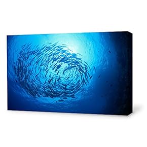Canvas Wall Art Sea Fish Canvas Prints Home Artwork Decoration for Living Room,Bedroom - 12x18 inches