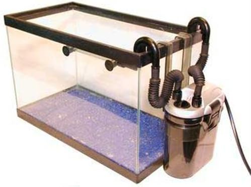 cat burger squishy amazon