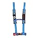 Pro Armor A114220VB Voodoo Blue 4-Point Harness 2" Straps primary