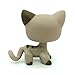 do1n Littlest Pet Shop #468 Gray Short hair Cat kitty Tan Blue Eyes LPS