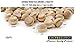 AmeProSupply Maple Wood Plugs 3/8 inch Mushroom Top Screw Hole Plugs (120 Pack)