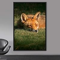 Framed Canvas Wall Art Red Fox Animals Contemporary Expressive Fox Living Room Multicolor Photography - 16x24 inches