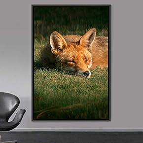 signwin Framed Canvas Wall Art Red Fox Animals...