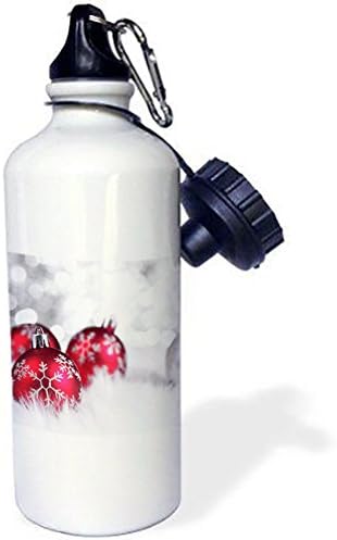 DCKLOIK Red Balloon Christmas Aluminum Sports Water Bottle Gift 20 Ounce