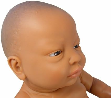 mixed race dolls amazon