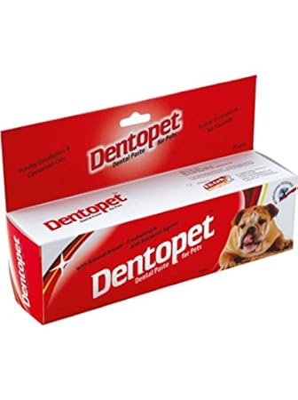 All4Pets Dentopet, Dog Toothpaste 70 Grams