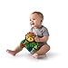 Baby Einstein Lion Toy, Discover and Go
