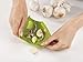 Joseph Joseph Scroll Silicone Garlic Peeler, Green