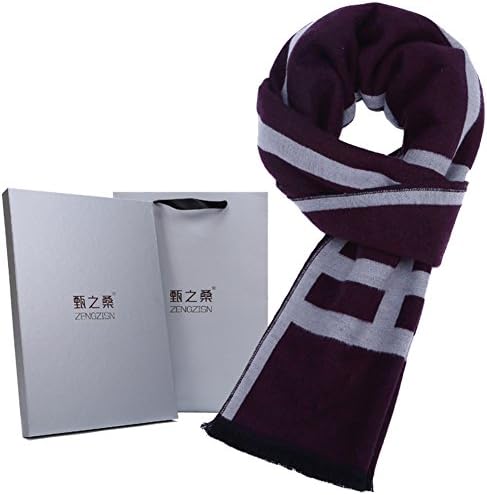 Silk men's scarf/Fall/winter business warm brushed silk scarf-E One Size