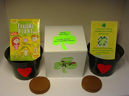 TickleMe Plant NEW! Lucky Gift Box with FREE LUCKY CLOVER SHAMROCK Seeds. The close its leaves when you Tickle it or blow it a Kiss!