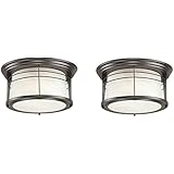 Amazon.com: Westinghouse 6674600 Senecaville Two-Light Exterior Flush