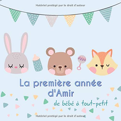 La Premiere Annee D Amir De Bebe A Tout Petit Album Bebe A Remplir Pour La Premiere Annee De Vie Album Naissance Garcon French Edition Publishing Babymemories Fr Amazon Com Books
