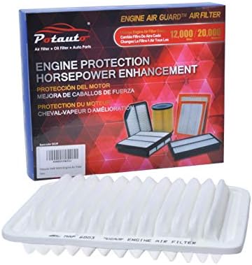 POTAUTO MAP 6003 (10-Pack) Engine Air Guard Filter Replacement for PONTIAC, SCION, TOYOTA