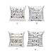 Highpot Young Pillow Simple Animals/Letters Pillowcase, Christmas Stylish Minimalist Style Logo Square Cushion Cover (C4)