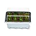 LITCHI Seedling Starter Trays Plant Germination Kit,144 Cells, Plus 10 Plant Tags(12 Trays,12 Cells Per Tray)