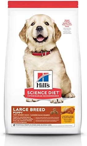 hamster sawdust alternative