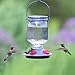 Perky-Pet 9101-2 Lavender Field Top-Fill Glass Hummingbird Feeder Purple 16 oz Capacity