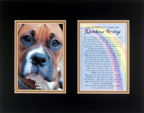 Boxer Rainbow Bridge Bereavement Memorial Keepsake Wall Hanging Gift Made in the USA