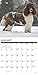 Just Poodles 2020 Wall Calendar (Dog Breed Calendar)
