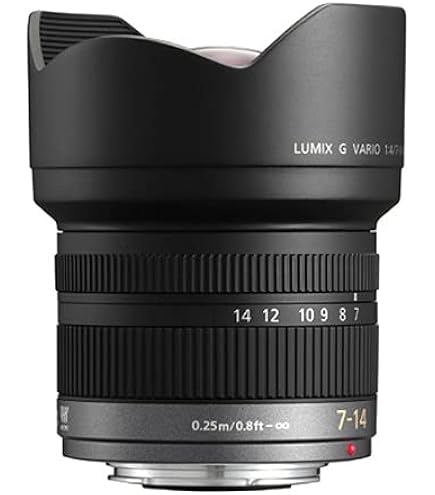 Amazon.com : PANASONIC LUMIX G VARIO LENS, 7-14MM, F4.0 ASPH
