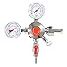 TerraBloom CO2 Keg Pressure Regulator for Draft Beer Kegerators. Dual Gauge Heavy Duty Unit with CGA-320 inlet, 0-50 PSI Working Pressure, 0-3000 PSI Tank Pressure with Safety Pressure Relief Valve