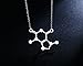 Rosa Vila Caffeine Necklace, Coffee Necklace, Caffeine Molecule Necklace for Coffee Lovers, Science Necklace for Chemistry Lovers, Coffee Gifts for Women, Coffee Lovers Gifts (Silver Tone)