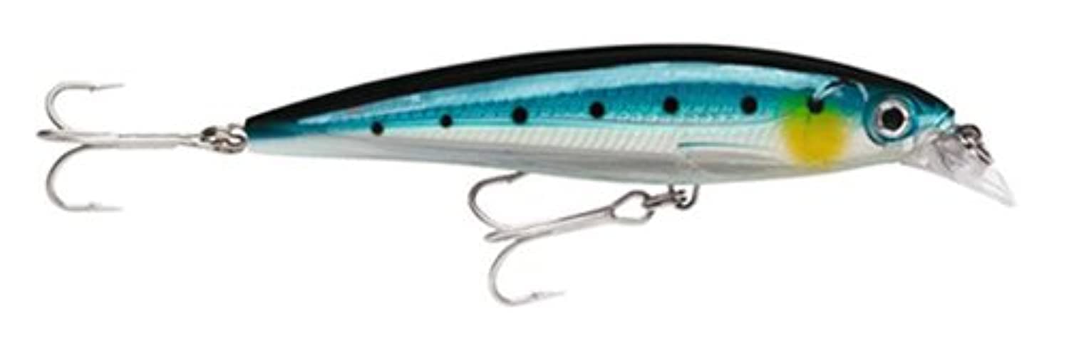 Rapala X-Rap Saltwater Fishing Lure (Blue Sardine, Size- 4) — image 1