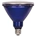 Westinghouse 0315100 15W PAR38 LED Outdoor Bulb, Flood Blue E26 (Medium) Base, 120V, Box