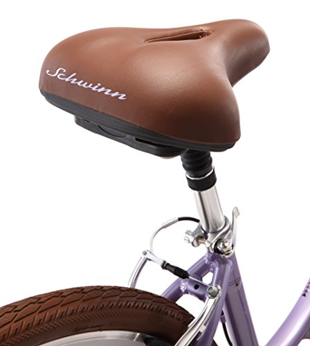 schwinn capital 700c