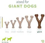 Benebone Wishbone Durable Dog Chew Toy Real Bacon Giant USA view 4