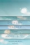 The Symmetry Teacher: A Novel