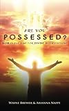Are You Possessed?: Now is the Time for Divine Intervention (Volume 1) by Mr. Wayne Brewer