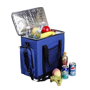 Refrigeradores para Autos Congelador portátil Mini Paquetes de ...