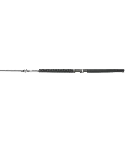 amaxon shimano terez spinning rod BW BFC Spin, Offshore, 7'0
