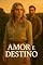 Livro AMOR e Destino (Café e Destino Livro 1)