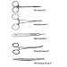 Surgicalonline 15 Piece Stainless Steel Training Suture Blade Tool Kit/Set with Scalpel 10 Blade, for Medical, Veterinarian Student Tools Kit, Biology and Dissection Lab Students