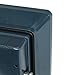 First Alert 2092DF-BD 1.3 Cubic Feet Bolt-Down Waterproof 1 Hour Fire Safe with Combination Lock, Gray