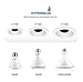 Hyperselect PAR38 LED Light Bulb, 14W (90W Equivalent), 4000K (Daylight Glow), 1040 lumens, Flood Bulb, Non Dimmable, Medium Base (E26), UL-Listed - Great for Backyard, Office, Kitchen (4 Pack)