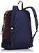 JANSPORT Black Label SUPERBREAK Burnt Henna Abstract Angles T60G05W