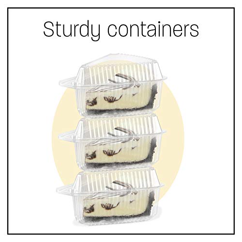 5 Container+Clear+Cheesecake+Containers+Medium+Disposable