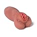 0.83lbs Man's Life-Size Torso Doll 3D Realistic TPE Silicone Doll Adult Toy Male Toy Safe Material, Super Soft 3D Real Cup Toy Man's Woman's Gift Couple Boyfriend's Husband Tan Skin