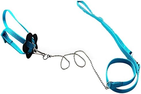 Qmcmc Parrot Adjustable Bird Harness and Leash Outdoor Flying Anti-bite Grey Cockatoo Macaw