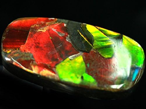 Amazon 天然石の島田商事 カナダ産 宝石ルース 裸石 アンモライト Ammolite 菊石 約6 7g 1個 ルースストーン 通販